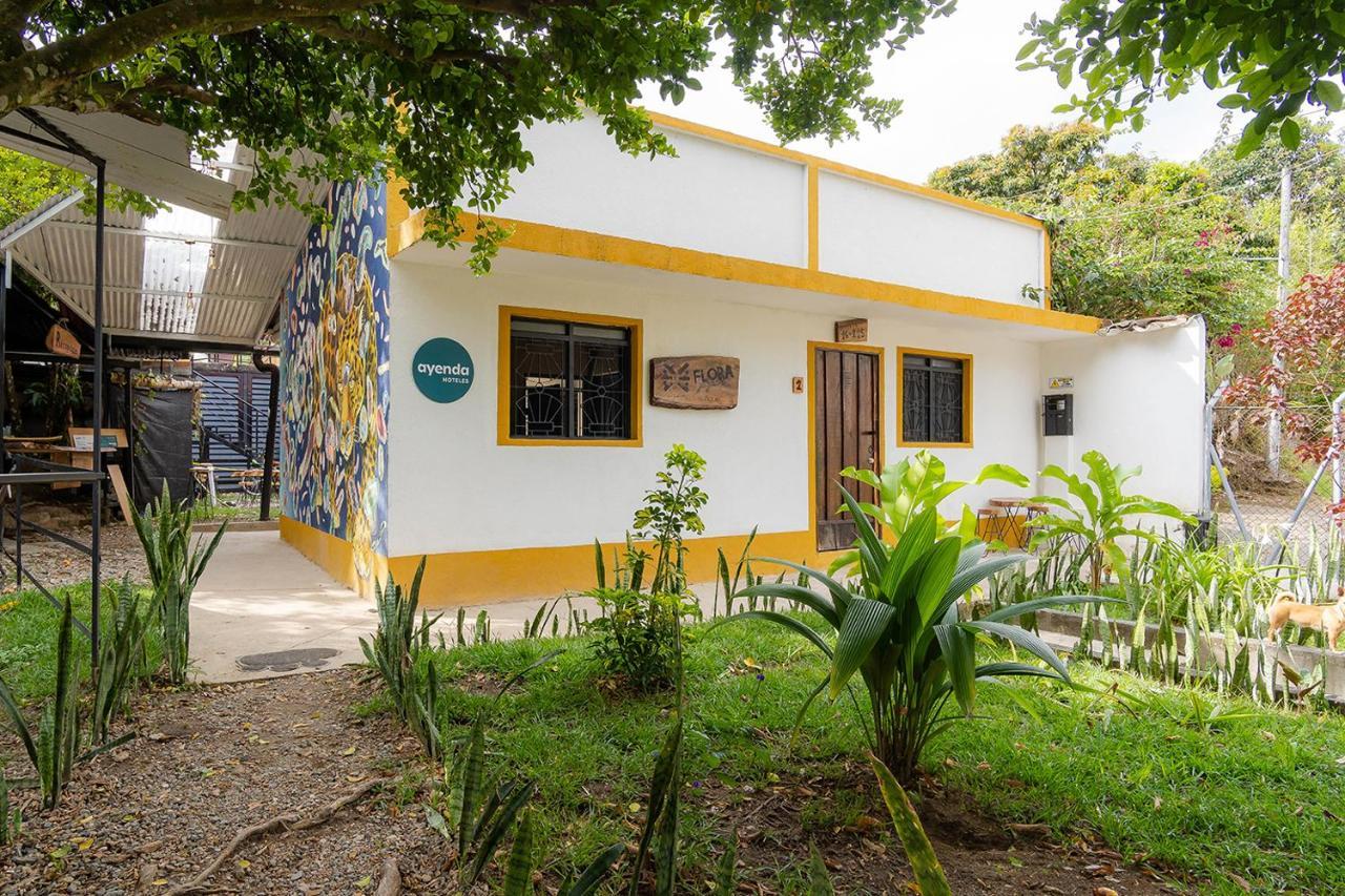 Ayenda Flora Jaguar Bed & Breakfast Ibagué Exterior foto